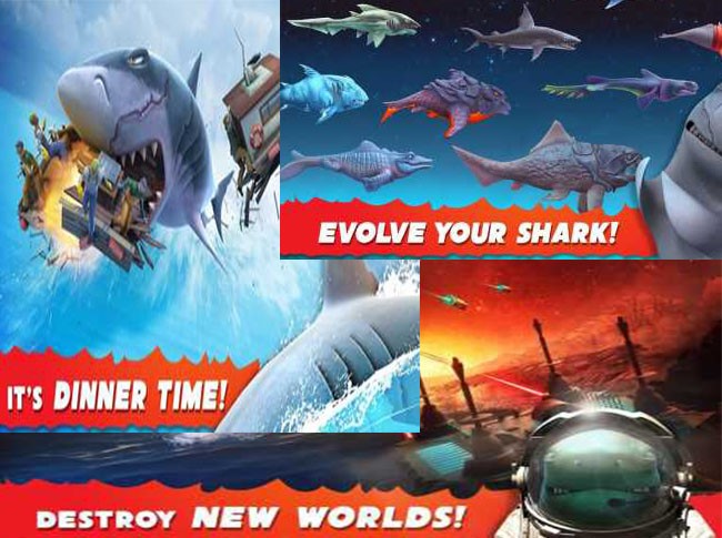play Hungry Shark Evolution mod apk by unlimited coins